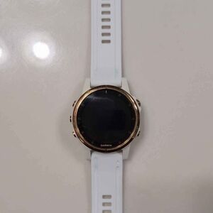 Garmin Gold and White Smartwatch